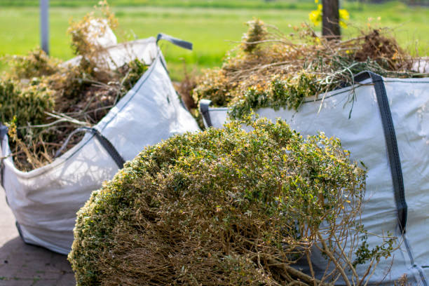 Best Trash Removal Near Me  in Clover Creek, WA